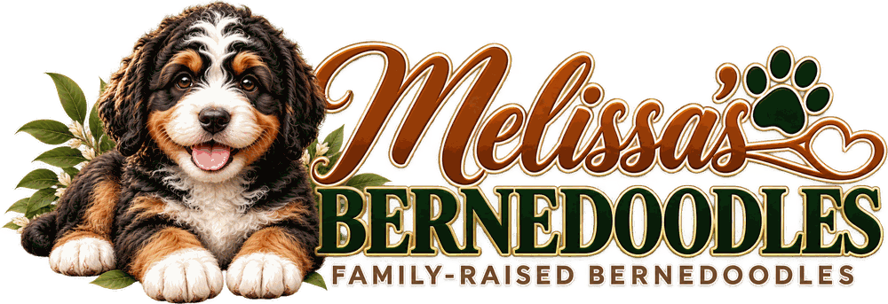 Melissa's Bernedoodles
